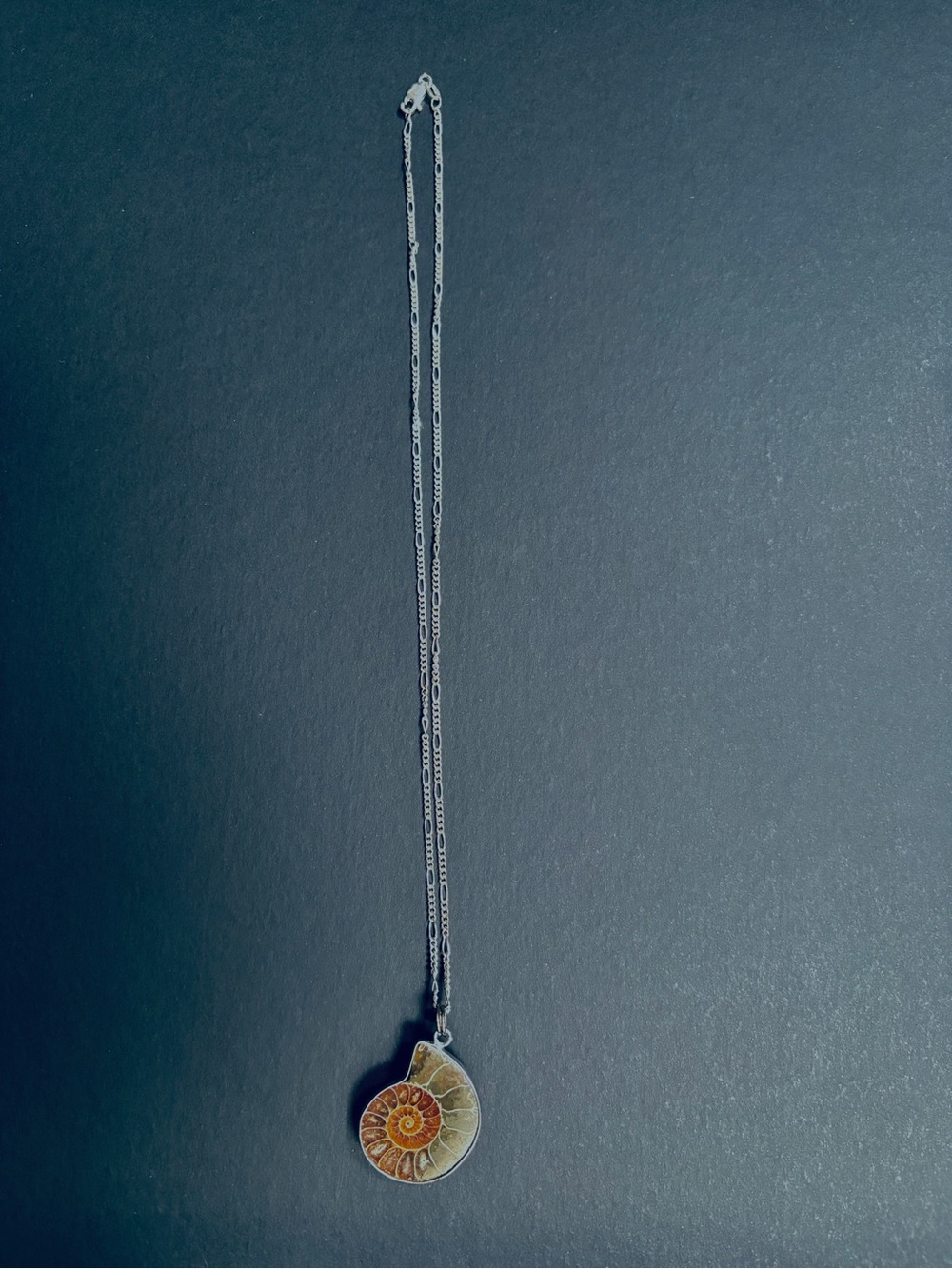 Ammonite Fossil Sterling Silver Necklace